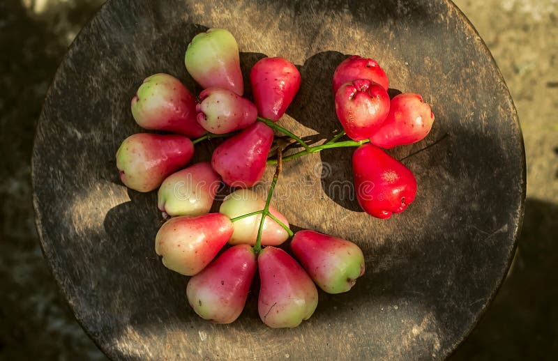 Red rose apple in basket stock photo. Image of food, horizontal 67017098