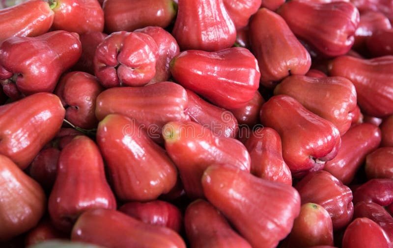 Red rose apple stock image. Image of splashing, plant 114567801