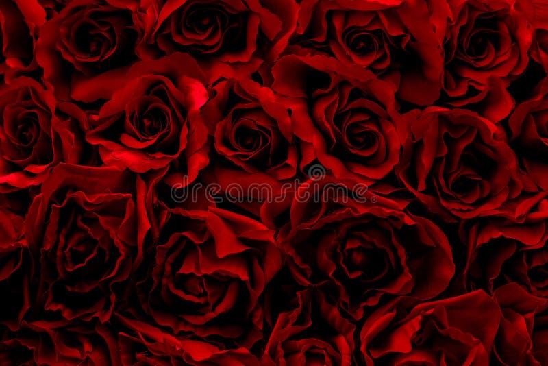 Red rose background, Fake flower. Decoration flora wallpaper. stock photography Red rose background, Fake flower. Decoration flora wallpaper. stock photography