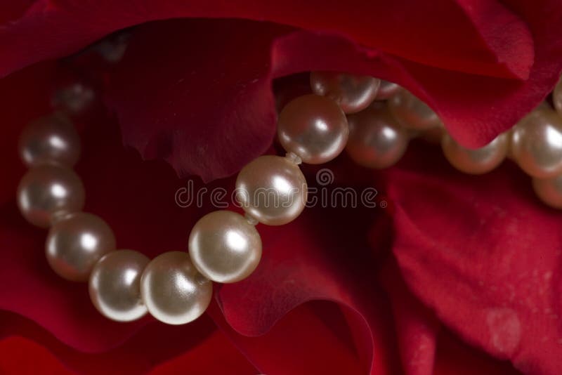 1,433 Red Rose Background Pearls Stock Photos Free & RoyaltyFree