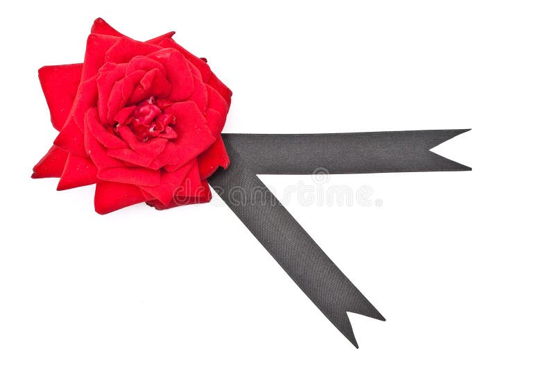 Red rose with black ribbon