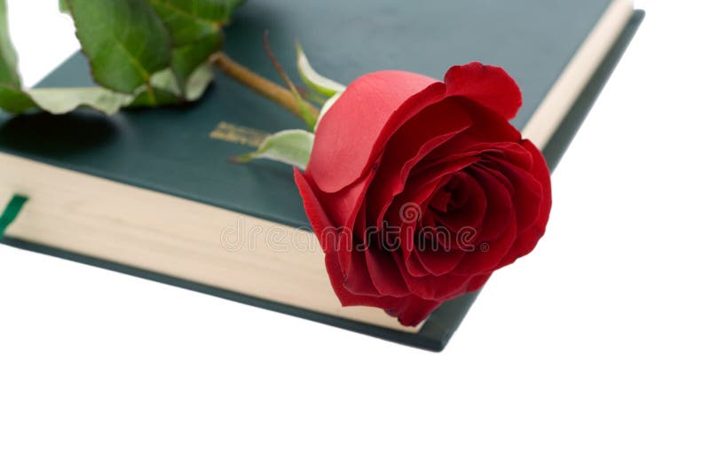 Red rose in a book