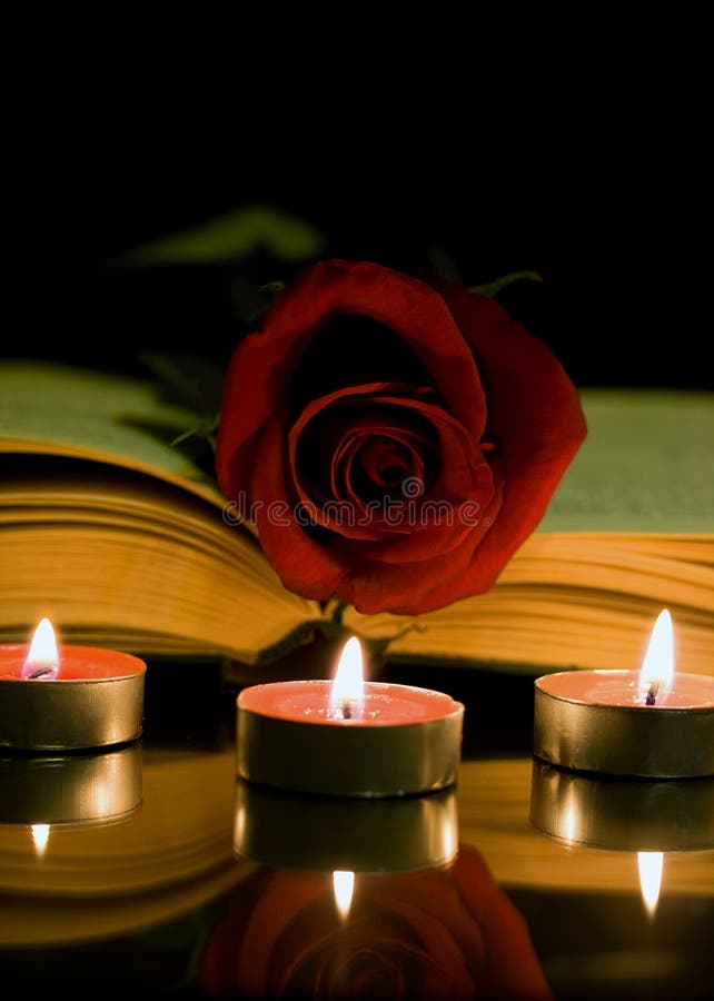 Red rose and book