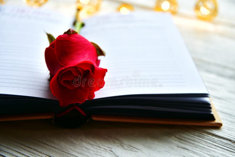 14 127 Rose Book Photos Free Royalty Free Stock Photos From Dreamstime 14 127 rose book photos free