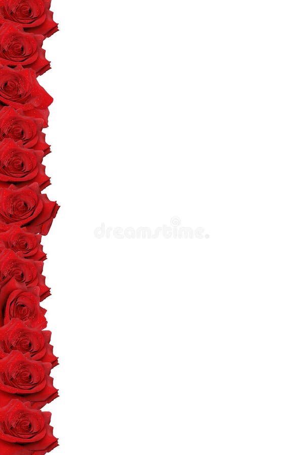 Red rose border