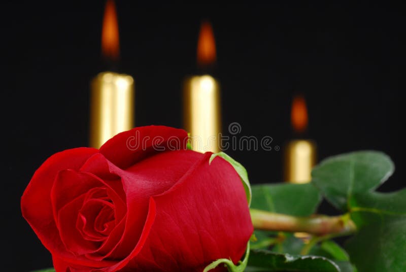 Red rose and candles stock photo. Image of valentines 3942694