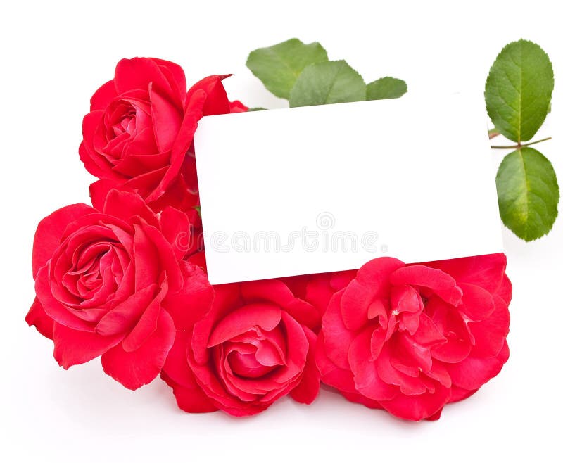 Red rose with card