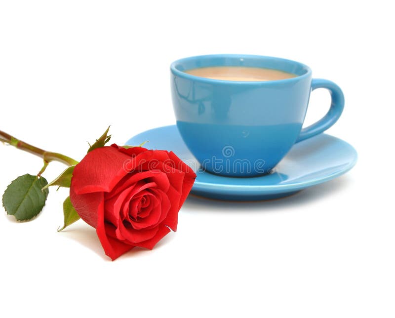 Red rose and cup of coffee