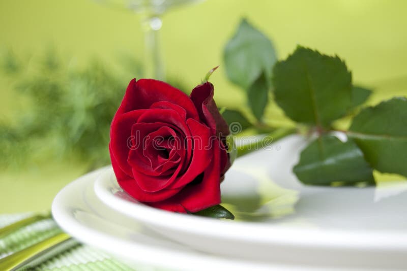 Red rose and dishes