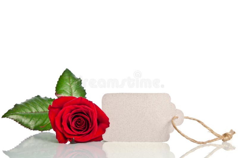 Red rose with empty tag for your text