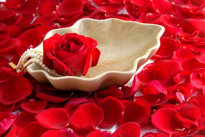 Red Rose Flower Petals Spa Aromatherapy Stock Photo Image of skin, shape 8177076
