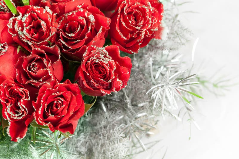 Red rose flowers with sparkle particles