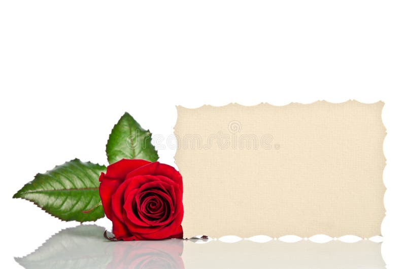 Red rose and gift card for text