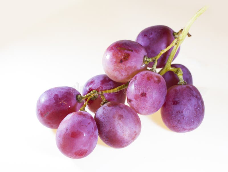 Red rose grapes isolated stock photo. Image of glass 78675728