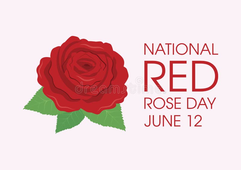 National Red Rose Day Vector Stock Vector Illustration of isolated