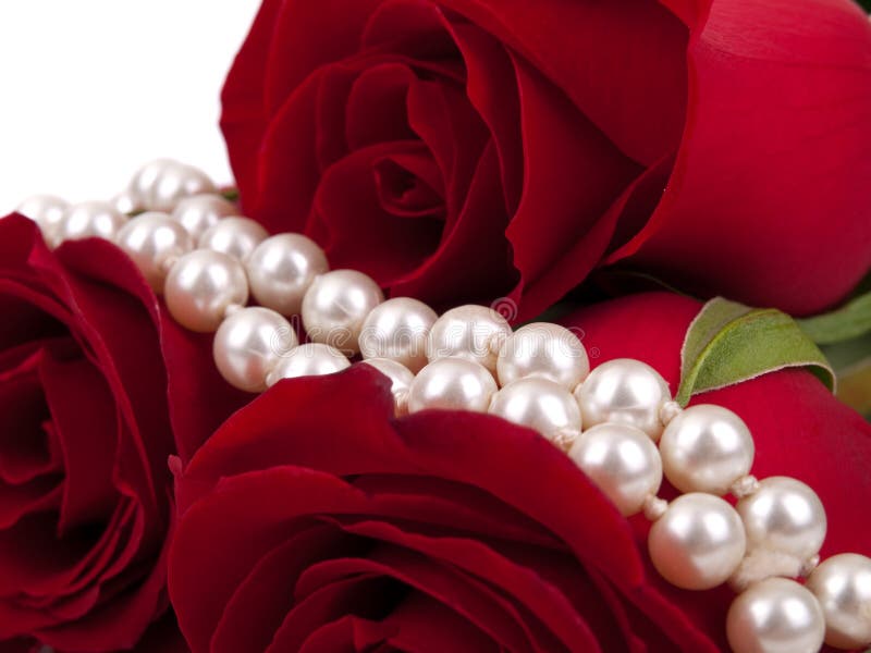 Red rose and pearls stock photo. Image of stone, fashion 12104612