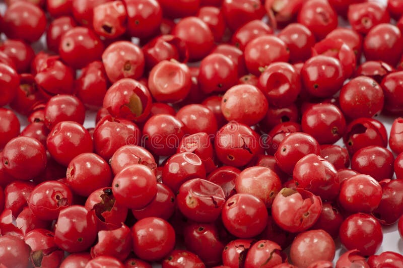 Rose Pepper stock photo. Image of heap, object, heat 36300010