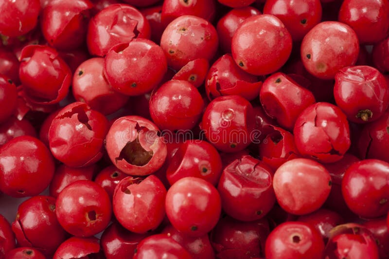 Red Rose Pepper stock image. Image of mexican, freshness 36300045