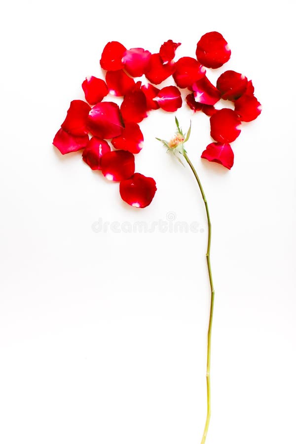 Heart Painted On Back Of Closed Door Stock Illustration Illustration Of Idea Book 28845451