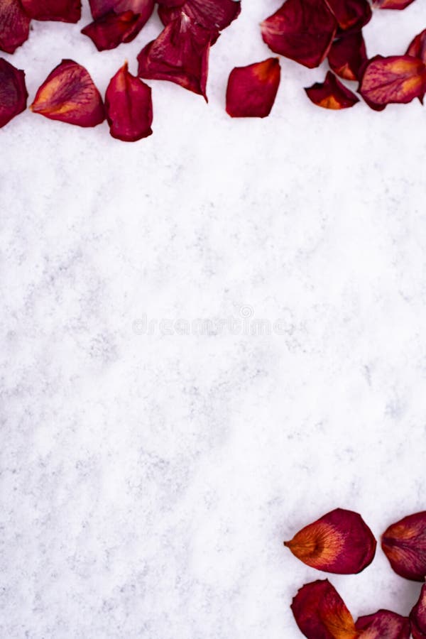 Red rose petals lie on the snow