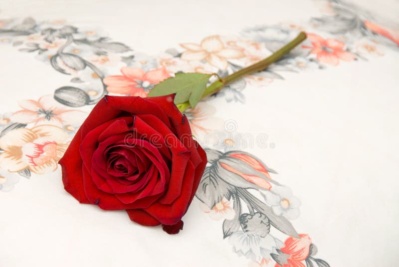 red rose pillow