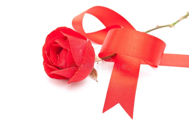 Red Rose With Red Ribbon Picture. Image 15703092