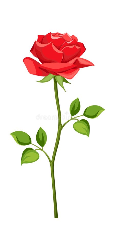 Red rose with stem. stock vector. Illustration of stem - 32718419