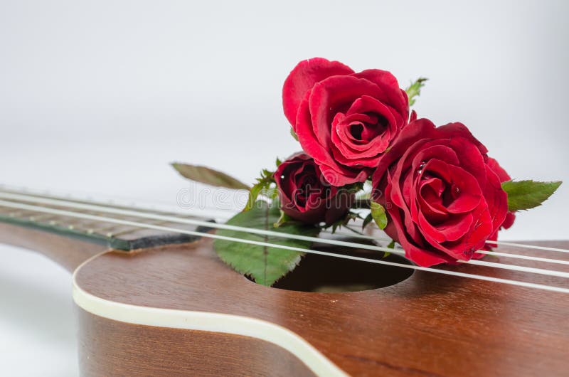 Red rose and ukulele stock photo. Image of guitar, music 41046336