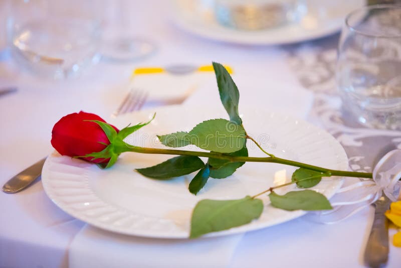 Red Rose on Wedding Dinner Plate Stock Photo Image of color, reception 40551976