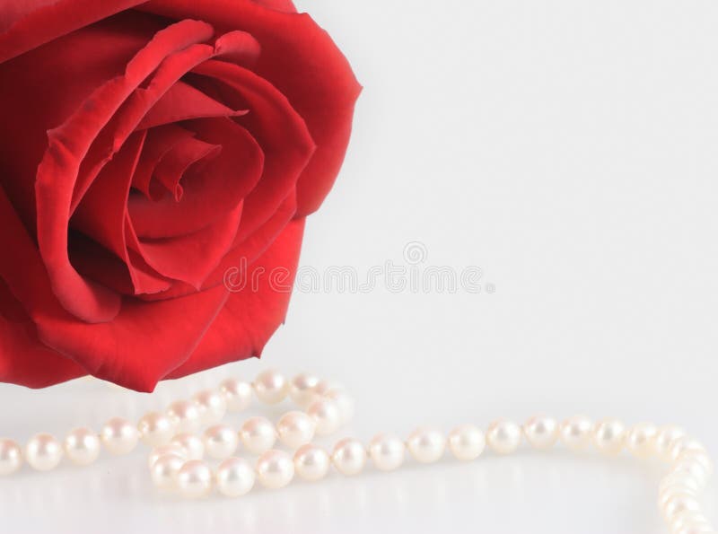Red Rose And Jewelry Picture. Image 613867