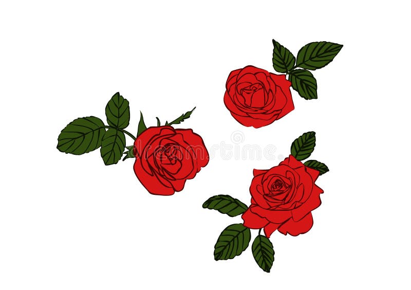 Red Flowers Roses Buds and Green Leaves Stock Vector - Illustration of ...