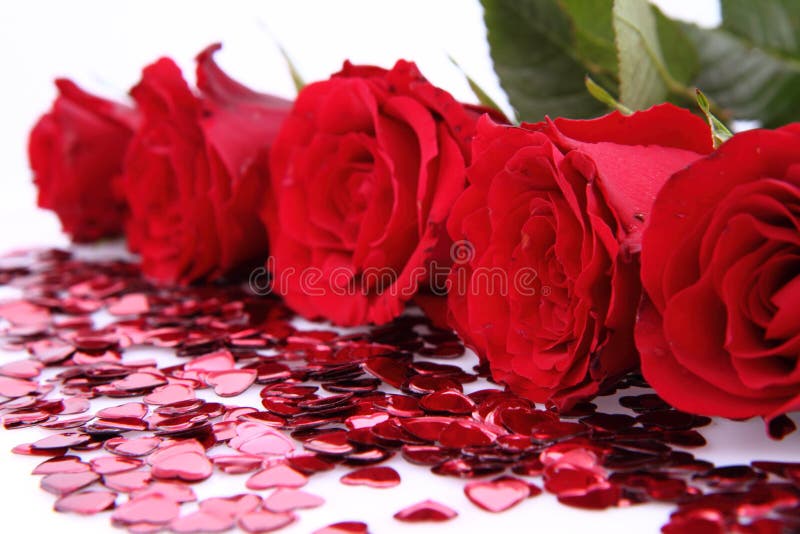 Red roses