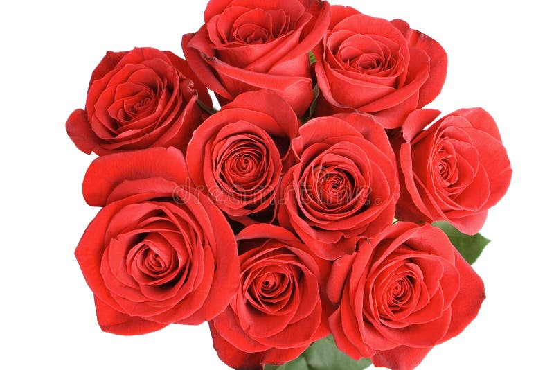 Roses for the People You Love Stock Photo - Image of flirt, flirting ...