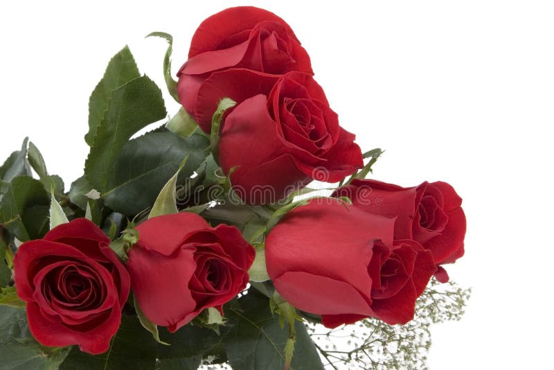 Red Roses