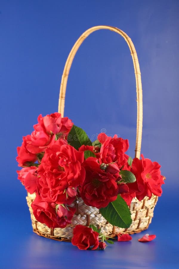 Red roses in a basket. stock photo. Image of backgrounds 2723528