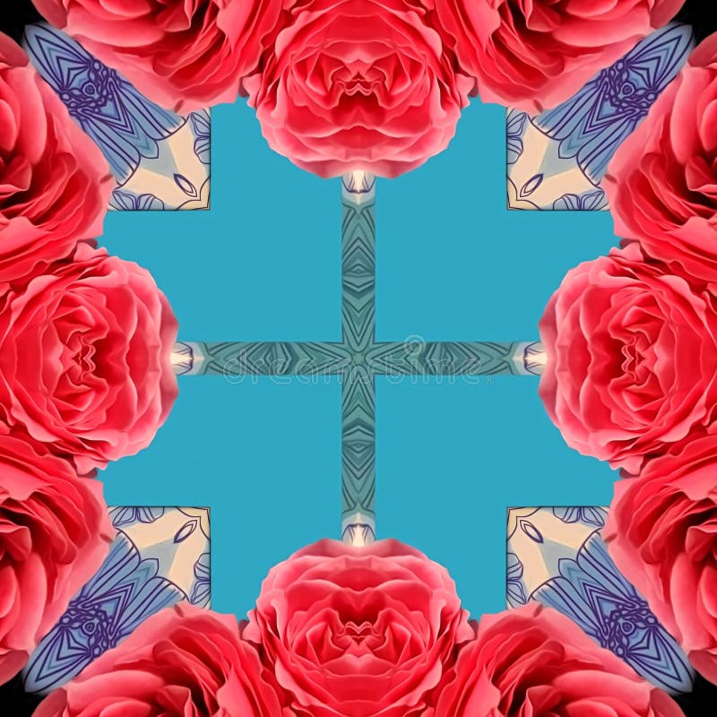 Red roses on a blue background vector illustration