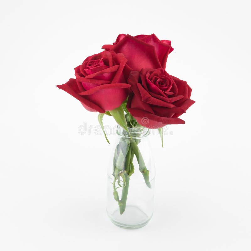 Red Roses Bouquet in Glass Vase Stock Photo Image of celebration