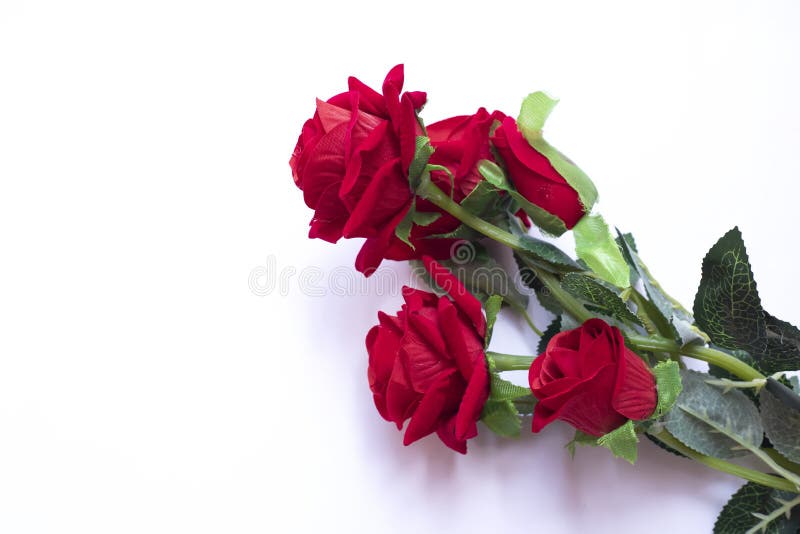 Red Roses Bouquet on White Background Stock Photo Image of roses