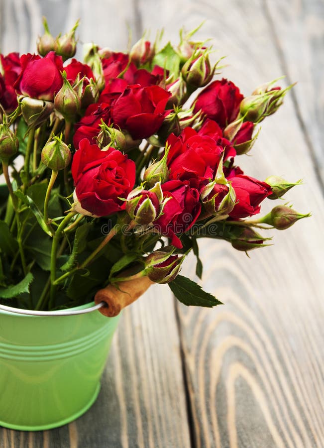 Bouquet Of Bright Red Roses In A Red Bucket Stock Image Image of