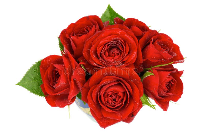 Red Roses