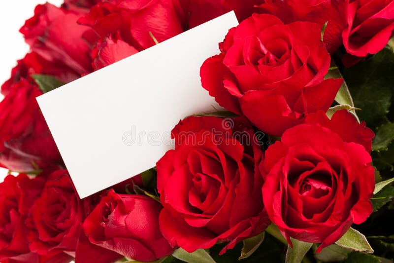 Red roses with gift tag. A bouquet of red roses with a blank gift tag royalty free stock photo Red roses with gift tag. A bouquet of red roses with a blank gift tag royalty free stock photo