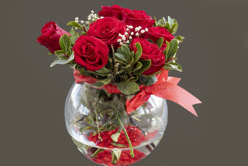 Red Roses in Glass Vase Isolated on White Background. Stock Image