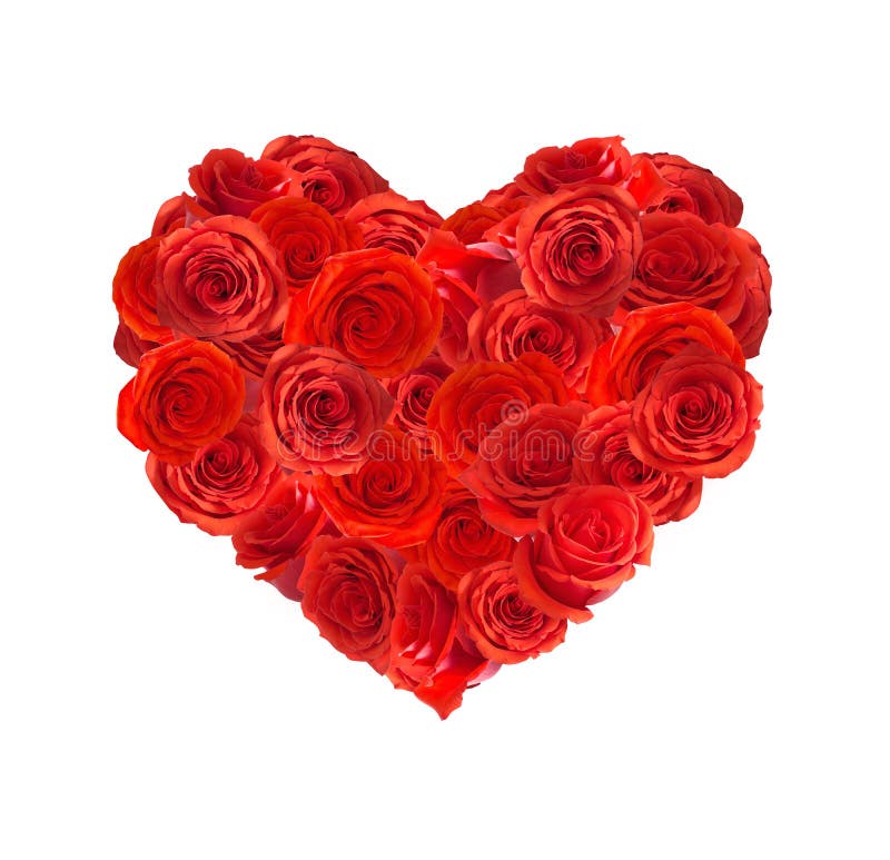 Red Roses Heart Isolated on White Background Stock Photo - Image of ...