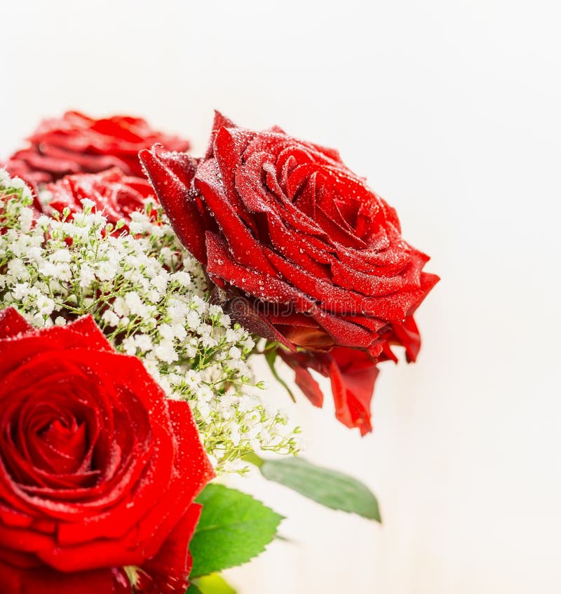 Side View Of Bunch Of Red Roses Isolated Stock Image - Image of flowers ...