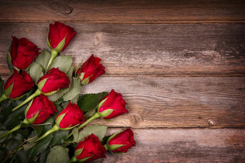 Red Roses For A Happy Birthday Stock Photo, Picture and Royalty Free Image.  Image 18287730.