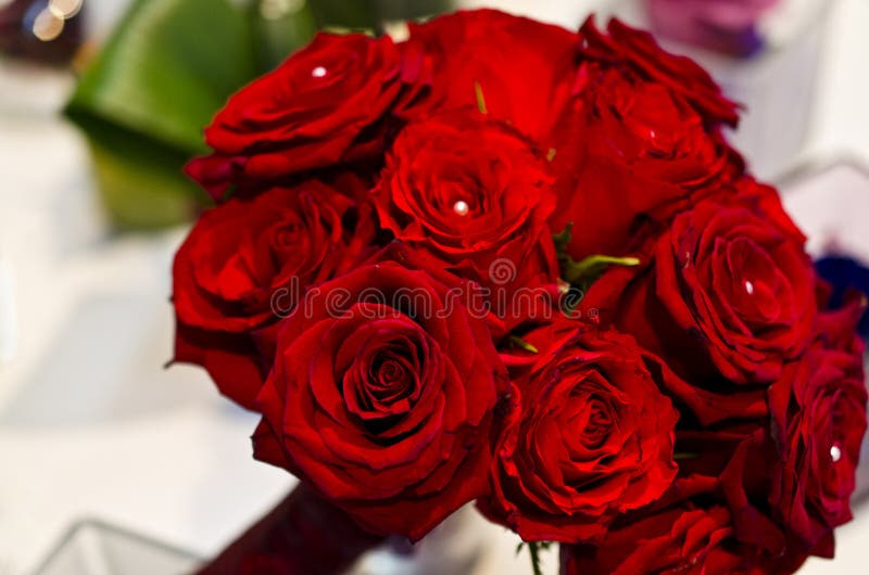 Red Roses and Pearls Bouquet Stock Image Image of event, shiny 35635675
