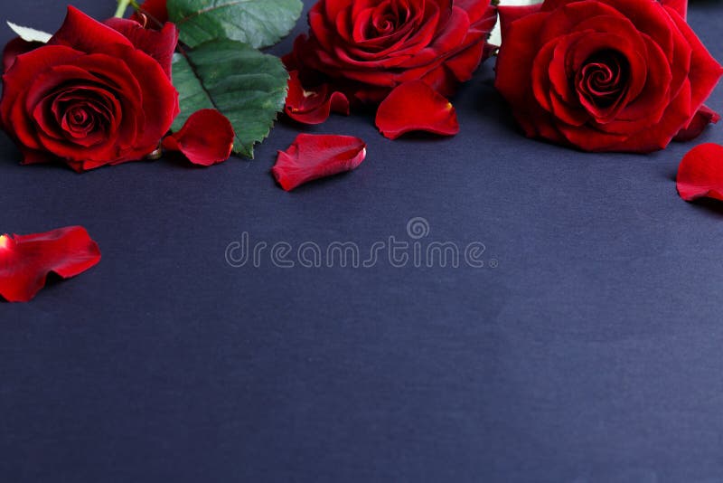 Red Roses For A Happy Birthday Stock Photo, Picture and Royalty Free Image.  Image 18287730.