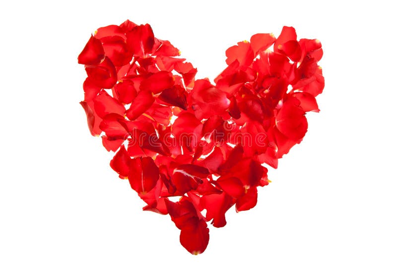 Red roses petals Valentine s Day