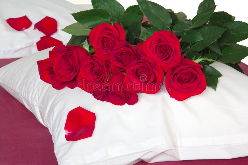 Red roses on the pillow stock photo. Image of bicolor 37017196