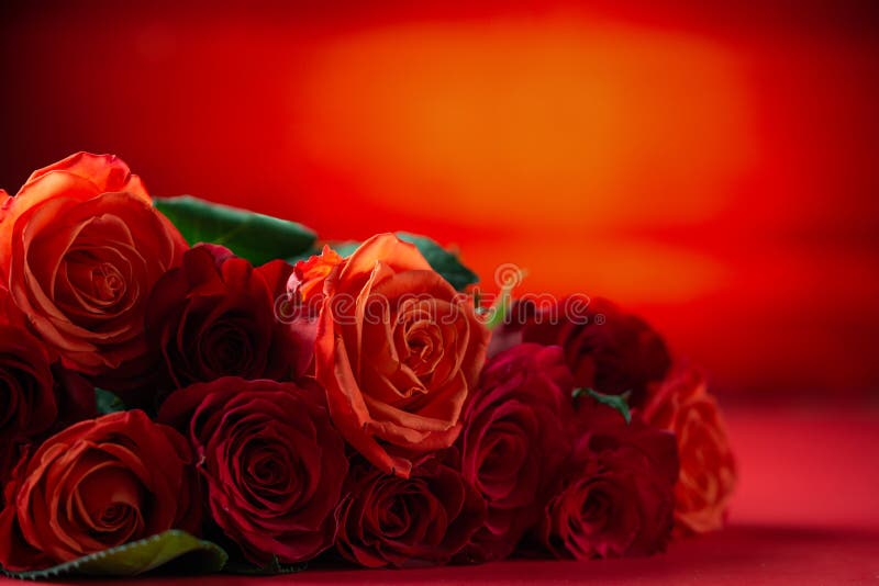 Red beautiful rose flower happy birthday №207565